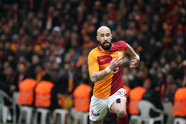 韦加是一位 韦加是一位