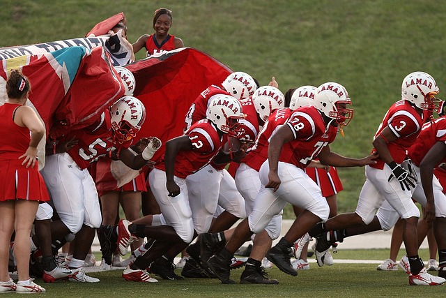 近年来在密 近年来在密